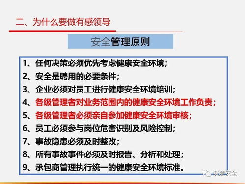 直线组织安全管理 有感领导、直线责任与属地管理的落地实践——以投资项目管理为例