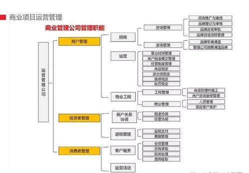商管公司团队组织架构及商业运管模式